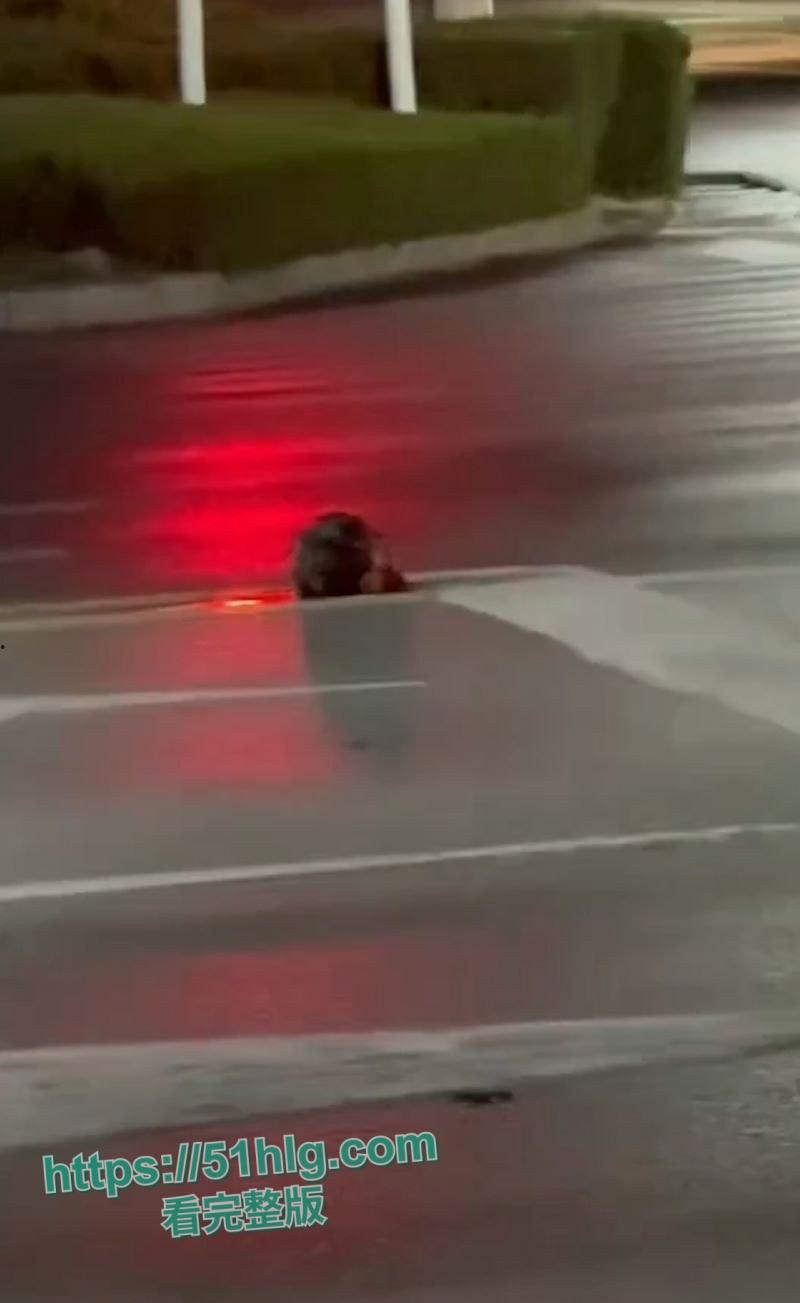 【山东诸城】繁荣路惊现死人头！伫立在马路中央周边血迹斑驳，路过行人被吓的当场昏厥，胆小勿入！-1