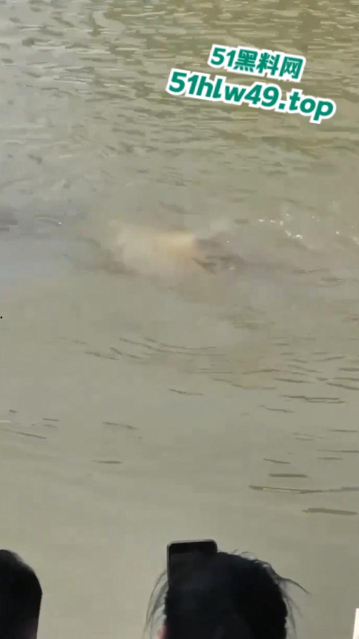 湖北两男子打赌激将法,逼跳河游泳一人溺亡,律师城明知对方不会游泳涉嫌过失致人死亡罪。-3