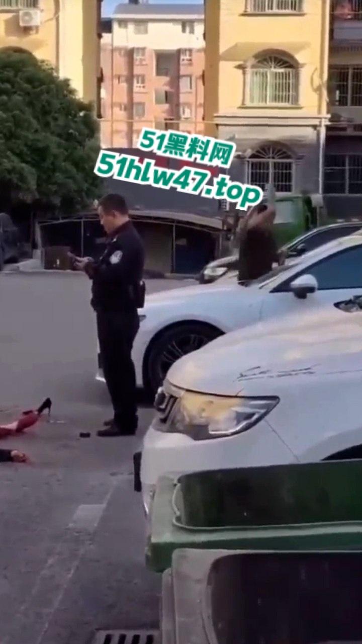 景德镇梨树园北苑老板娘欠钱被砍死视频，女老板欠钱不给还侮辱老实人遭对方乱刀砍死。-2