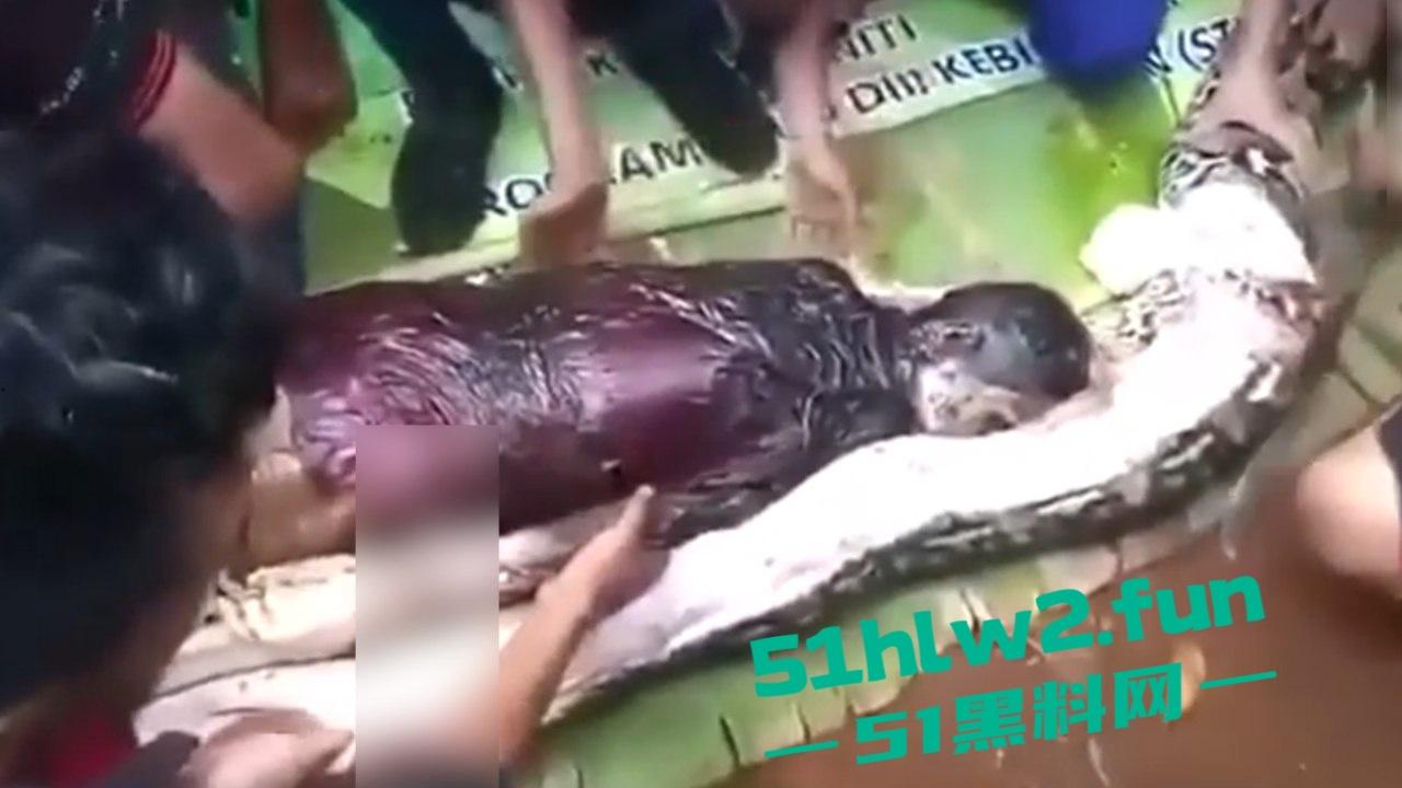 印尼猎奇事件，一妇女在回家途中遭蟒蛇袭击，将其缠绕致死后将妇女吞入腹中被村民发现将蟒蛇打死。-8