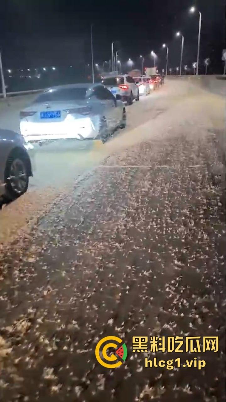 密集恐惧症慎入!湖南常德汉寿沅水大桥 飞虫像下雪一样“至少上10亿只‘’-4