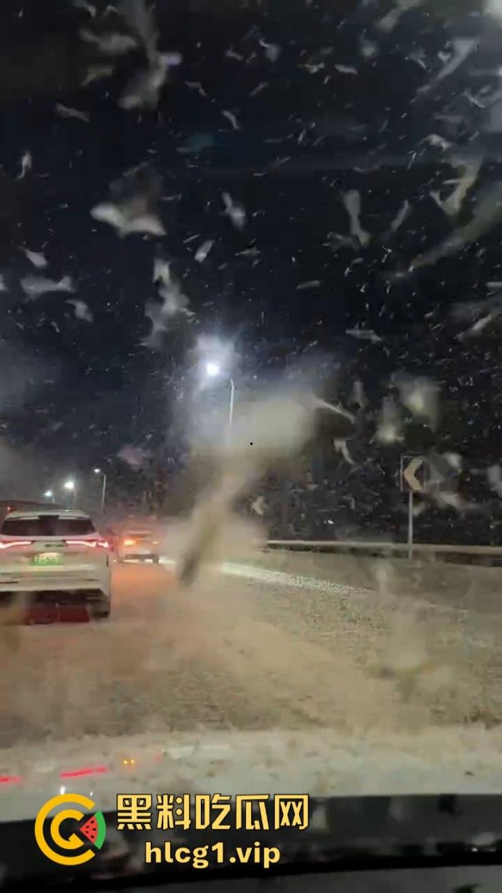 密集恐惧症慎入!湖南常德汉寿沅水大桥 飞虫像下雪一样“至少上10亿只‘’-6