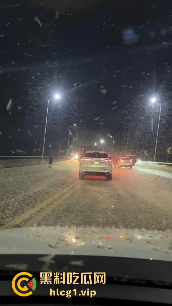 密集恐惧症慎入!湖南常德汉寿沅水大桥 飞虫像下雪一样“至少上10亿只‘’-8