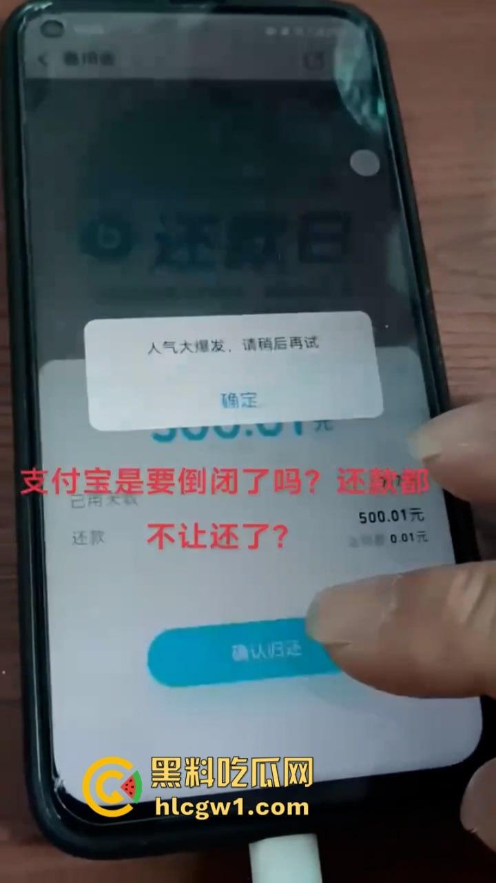 支付宝崩了!双11关键时刻掉链子 付款失败惹众骂-2