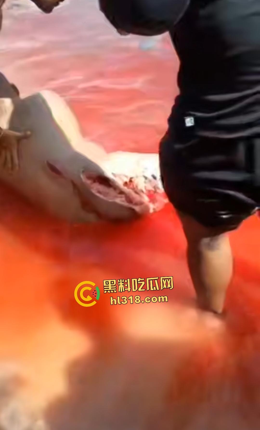 黑人男子海边遭螺旋桨血腥绞杀！下半身肉烂血染红海，旁人妄图复原断肢，谁知身体差点变两半！-4