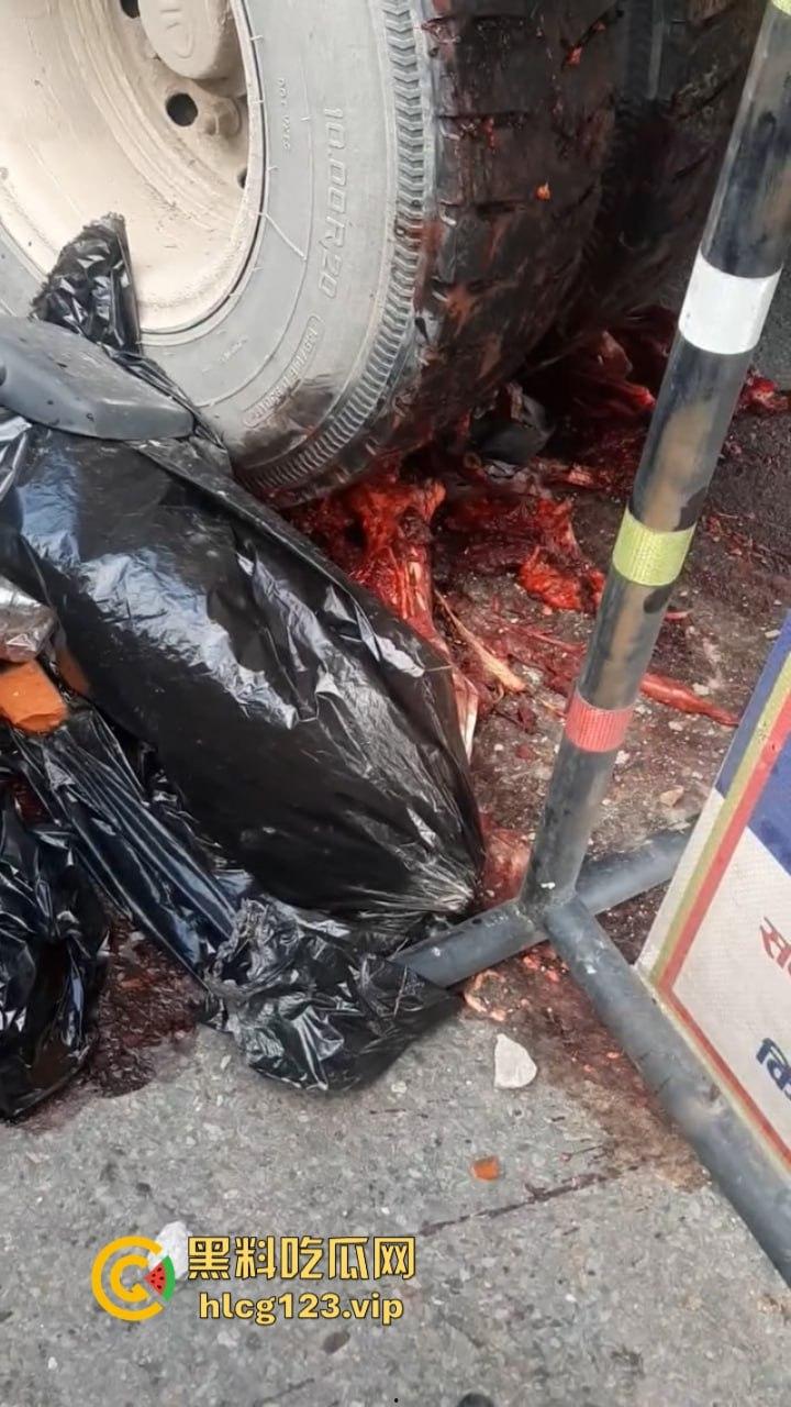 血腥慎点!太惨烈!尼泊尔一男子遭货车碾压拖行 “肠子都出来了!”-8