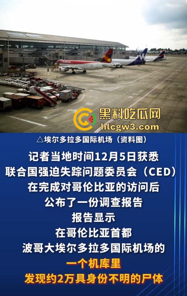 哥伦比亚波哥大国际机场惊现约2万具尸体!神秘发现震惊世界,背后藏着怎样的秘密?-10
