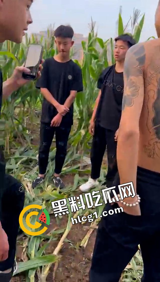快手大瓜！河南林州红脸社霸凌围殴全集视频！ 古惑仔的河南本土化 哥哥你满嘴靠嫩娘真帅-4