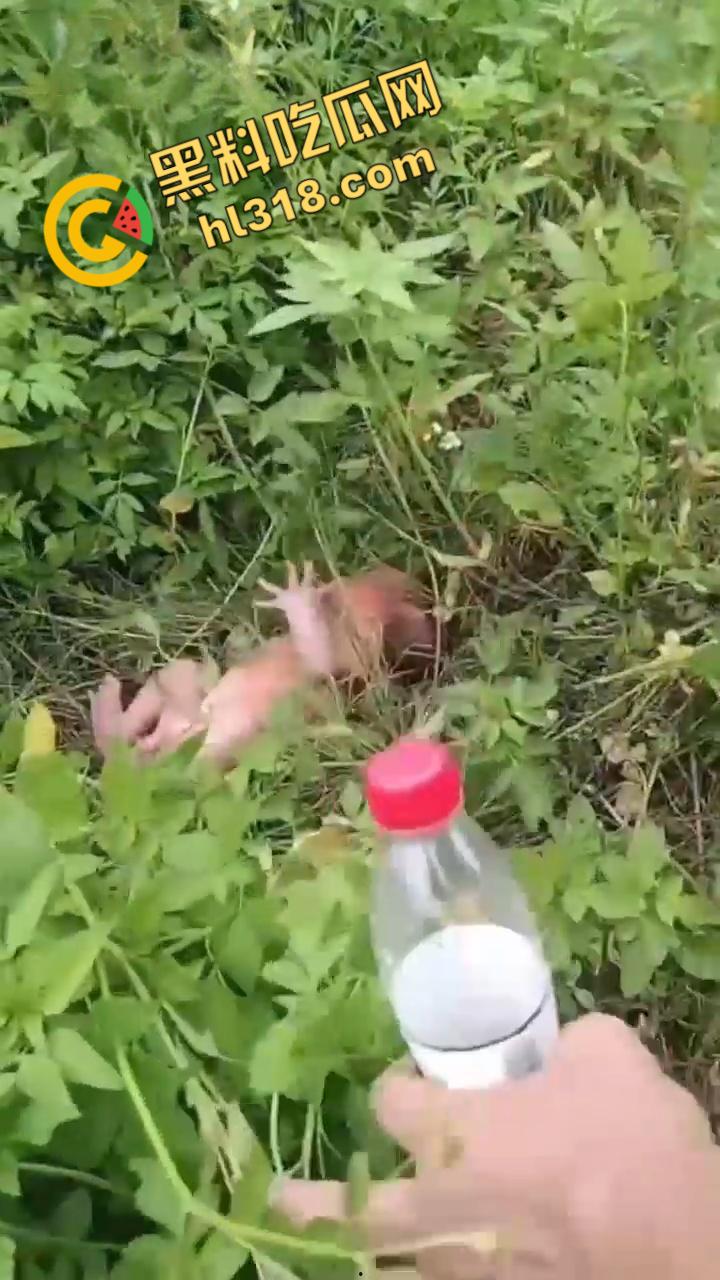 黑料正能量，福建福清市宏路公园发现一名弃婴，连脐带都没剪断，不幸中的万幸，得好心大娘救助！-2