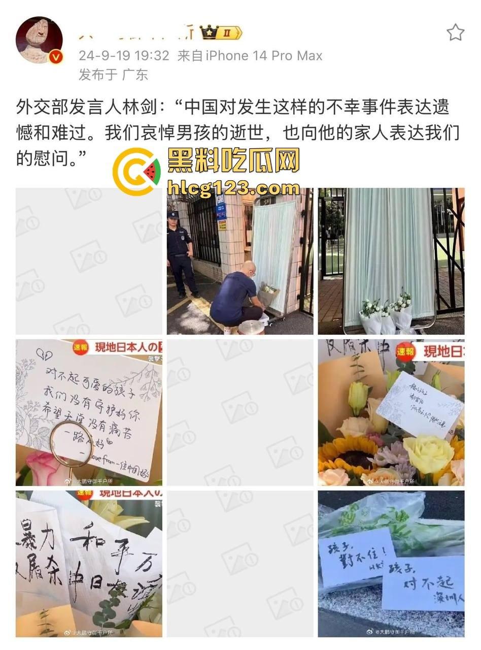 罗翔翻车了！一边谈历史一边踩雷，借排满聊排日，网友质疑他在搞民粹渗透！-5
