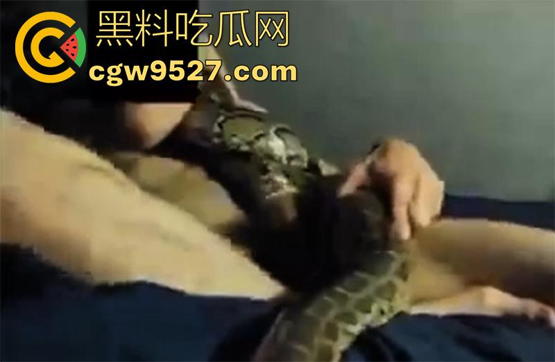 印度三哥真是什么都敢操，从兔子到乌龟，从老虎到蜥蜴，只要有洞都能插，地震裂缝是不是也能操地球啊！-8