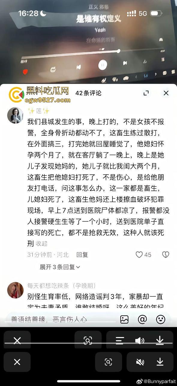 婚内出轨不稀奇，河北检察官【金昊】出轨还家暴杀妻？怀孕三月妻子被活活打死，一尸两命成了出轨的投名状？-6