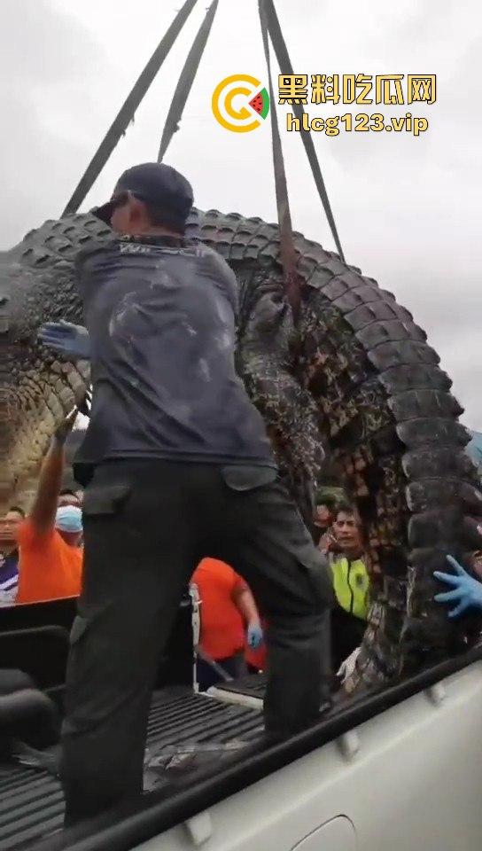 鳄鱼杀人开宴！小镇女孩惨遭下肚，砂捞越首次鳄鱼吃人，残骸成谜！-12