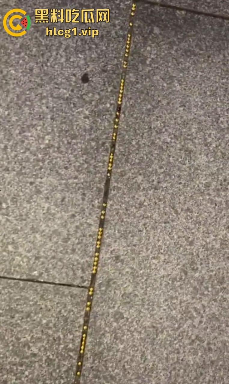 快来水贝金展门口捡黄金啦！深圳遍地是黄金看看有没有漏网之鱼！-5