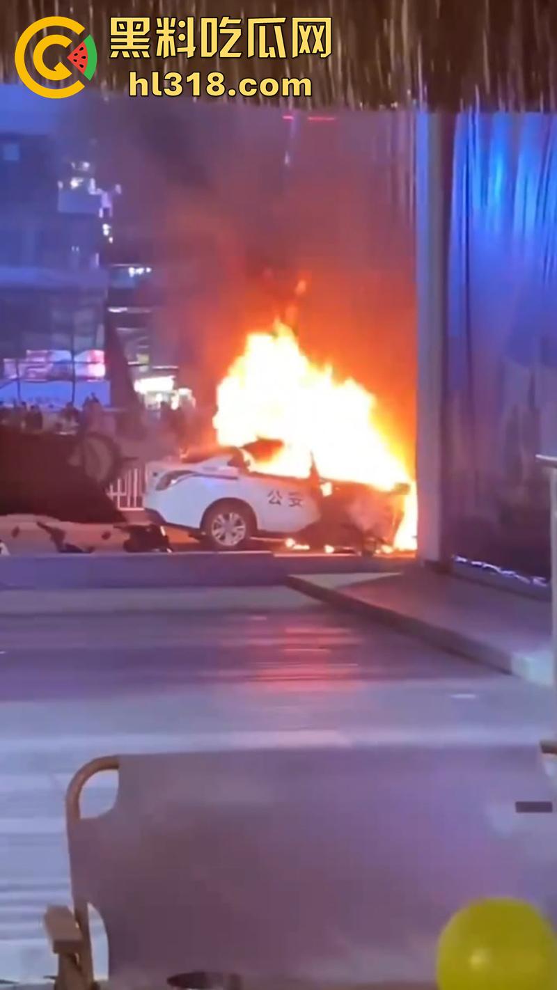 广州南村万博电车警车着火，熊熊大火迅速吞没警车，看来这电车危害，就连警车都不放过啊！-2
