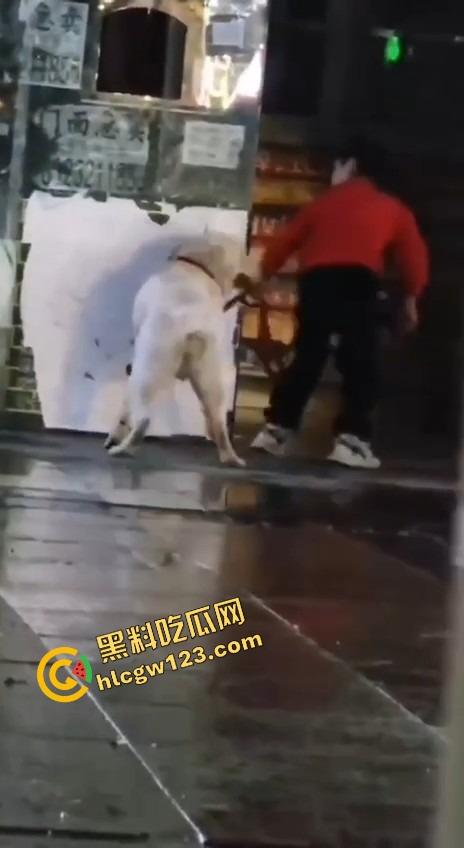 成都00后小孩哥街头遛狗变骚戏，大街上让狗日得嗷嗷浪叫，母0贱态趴在地上撅着屁股让狗抱！-5