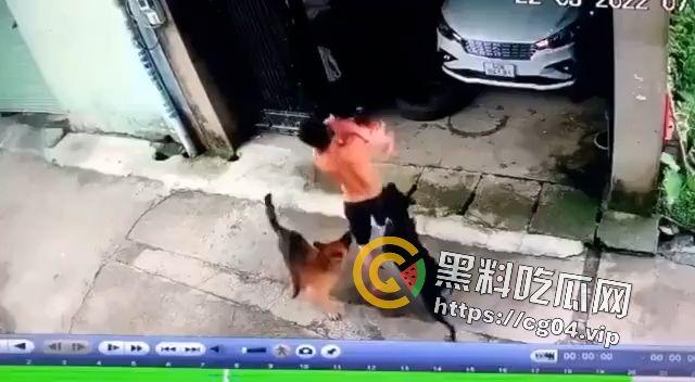 恶犬咬人!遛狗不牵绳 等于狗遛狗 狗首先是畜生 其次才是人类的朋友-1