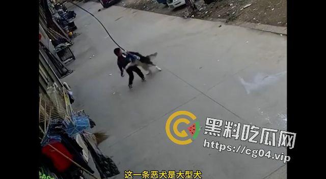 恶犬咬人!遛狗不牵绳 等于狗遛狗 狗首先是畜生 其次才是人类的朋友-4