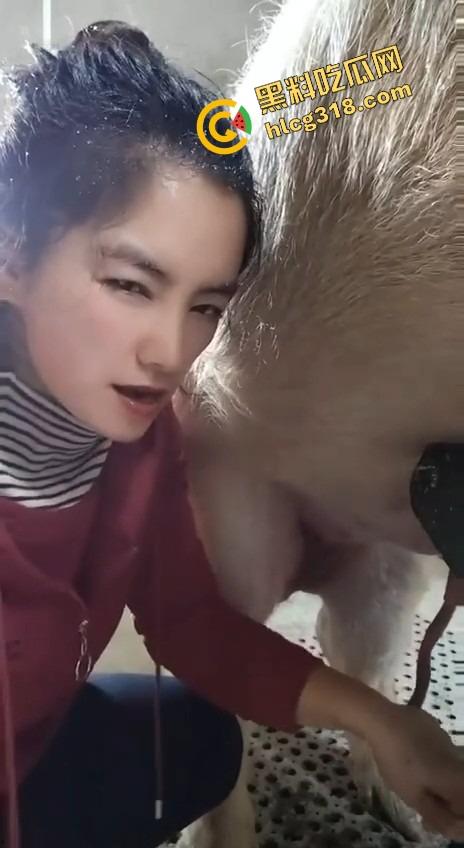 美女上岗第一天就被安排帮猪撸取精，手法娴熟动作老练，取精现场表情管理拉满-10