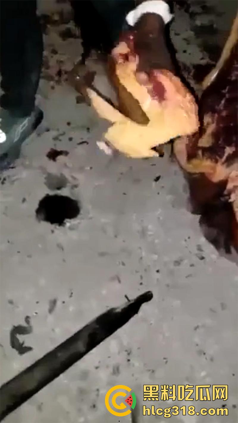 非洲大奶黑妹被砍断双手,棍棒砸扁头杀害后,被一群男子当场分尸割肉,还有人拿棍捅逼,真变态啊!-6