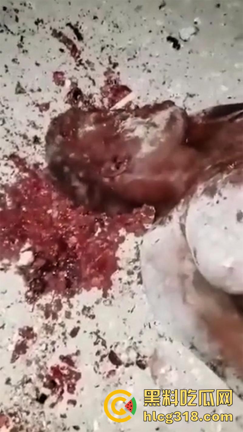 非洲大奶黑妹被砍断双手,棍棒砸扁头杀害后,被一群男子当场分尸割肉,还有人拿棍捅逼,真变态啊!-9