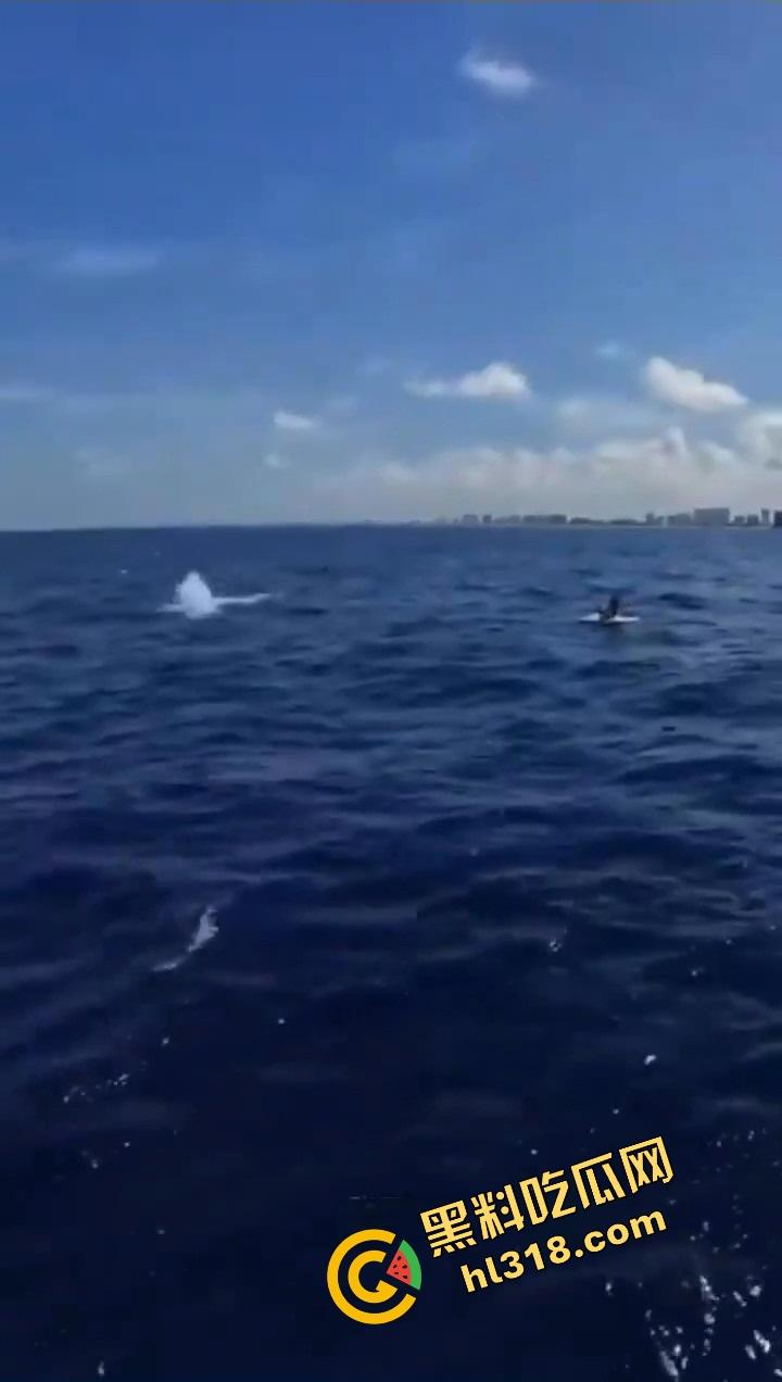 老外挑战大海漂流日逼，日到一半遇金枪鱼，鸡儿抽插手在抓鱼，打完炮还能吃活生鱼片，真正的野外求生！-6