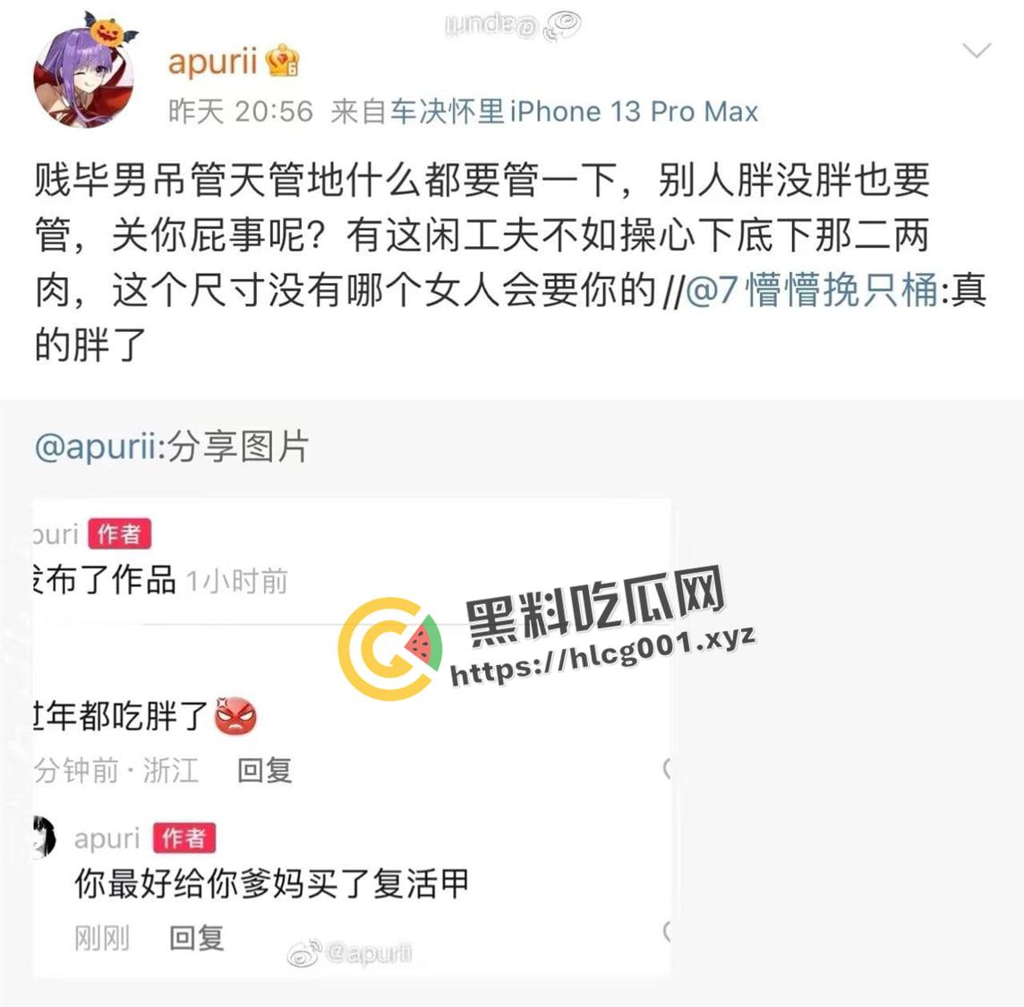 开盒微博女拳大V【apuri】！颜值cos博主 韩国留学媚洋婊 仗着网红身份玩网暴力  正义开盒-5