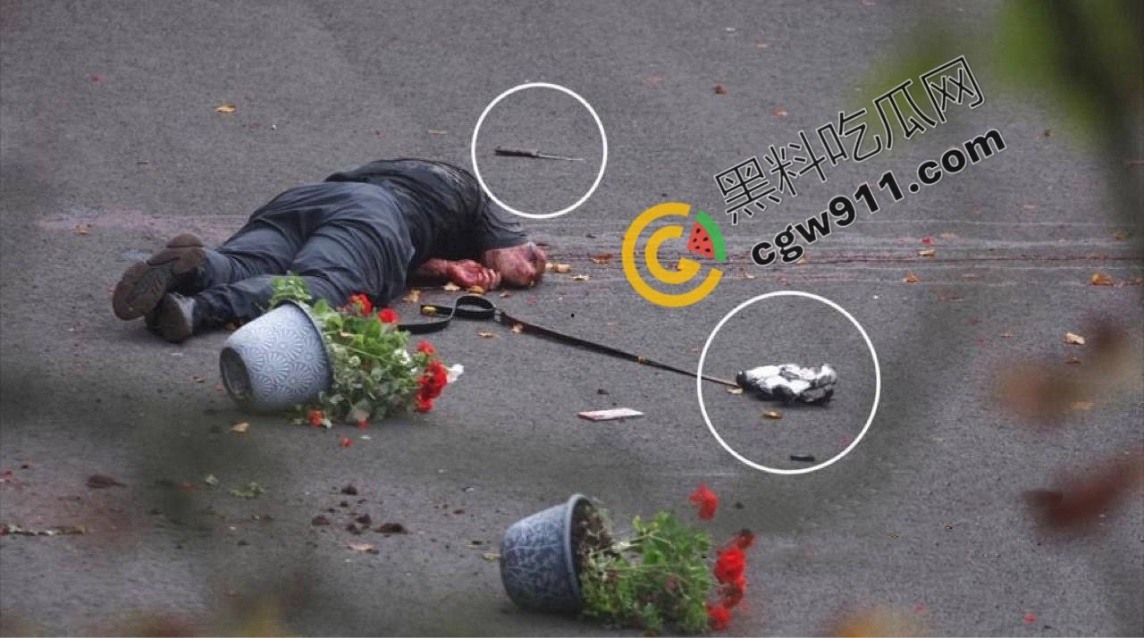 英国曼彻斯特犹太教堂持刀袭击事件：曼彻斯特希顿公园犹太会堂遭暴徒狂躁袭击，血腥惨剧惊天动地！-5