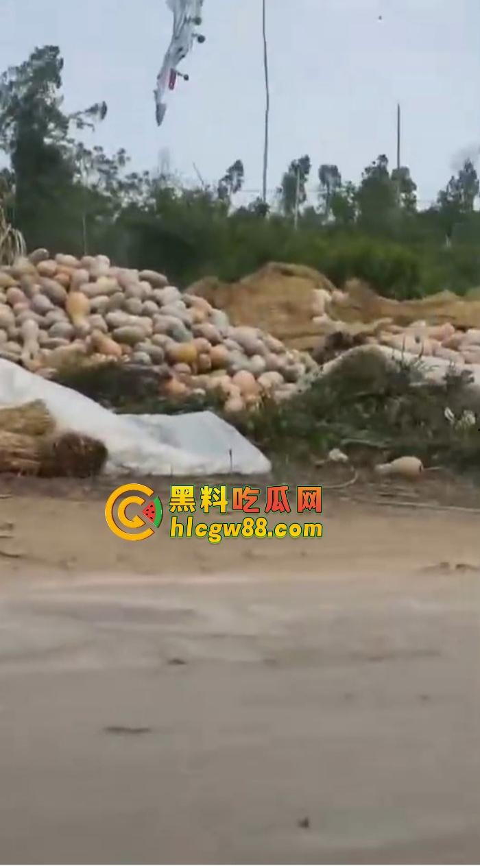 某战区海军战机海南训练失事，飞行员成功跳伞，战机坠毁临高县，所幸未造成地面损失！-12