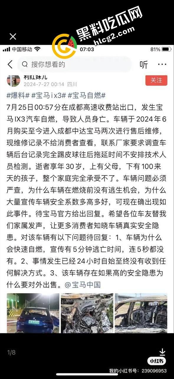 四川成都宝马新能源电车自燃事件！男子超速撞上安全岛 车毁人亡 瞬间火葬当场！-3