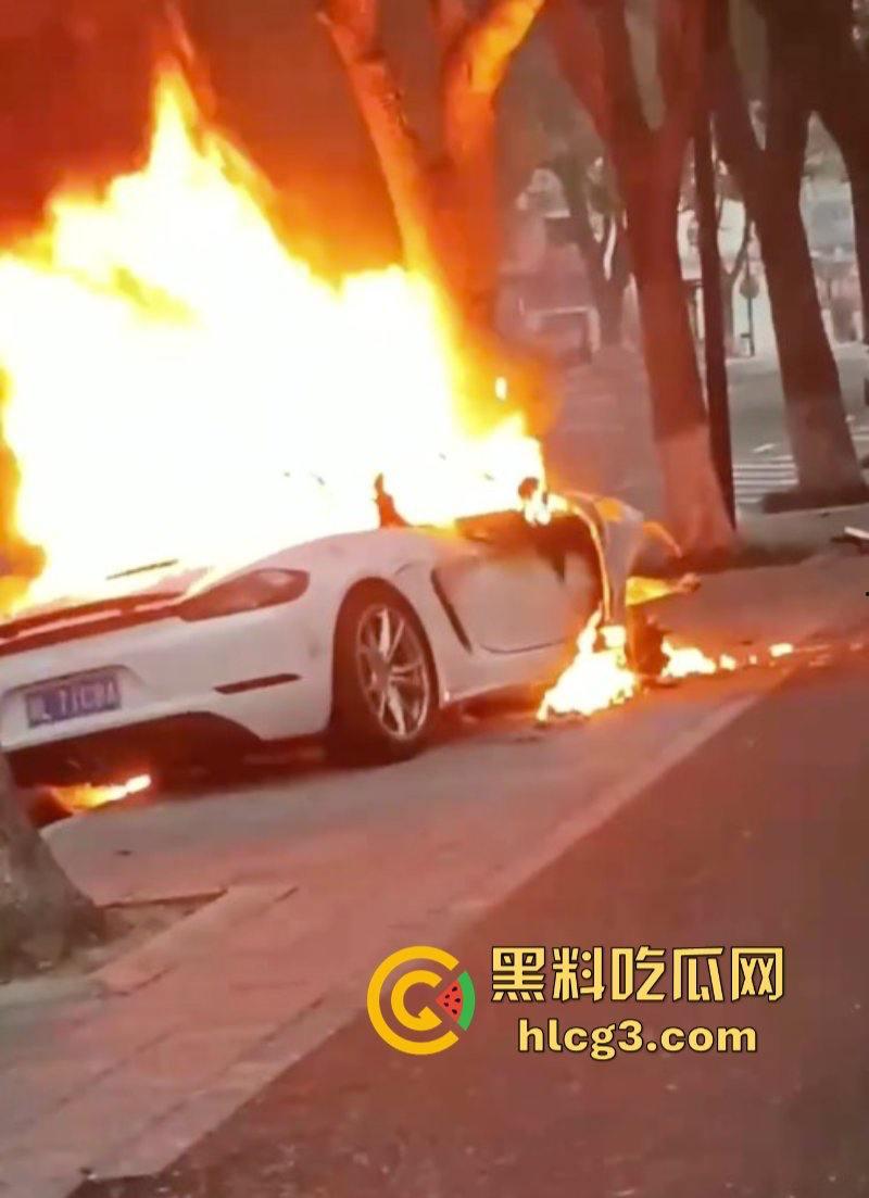 树：我没有动手啊！浙江一辆保时捷撞电动车后撞树起火驾驶人死亡！-5
