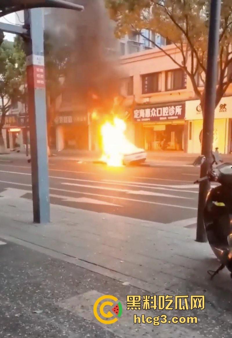 树：我没有动手啊！浙江一辆保时捷撞电动车后撞树起火驾驶人死亡！-6