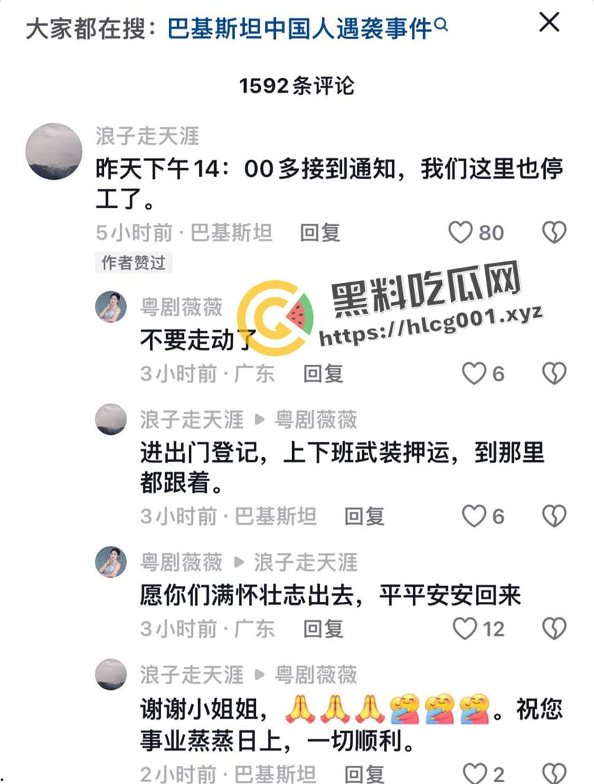 中巴友好？巴基斯坦自杀炸弹造成五名中国工程师死亡  现场画面曝光-10