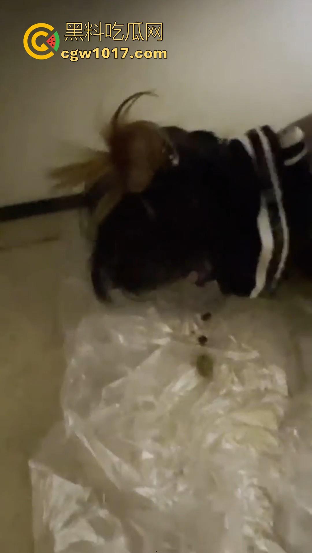 重口调教女奴！制黄金、吃厕纸、喝厕所谁、厕奴化调教，叫啥做啥，这女奴隶调教的可以，极其重口味！-8