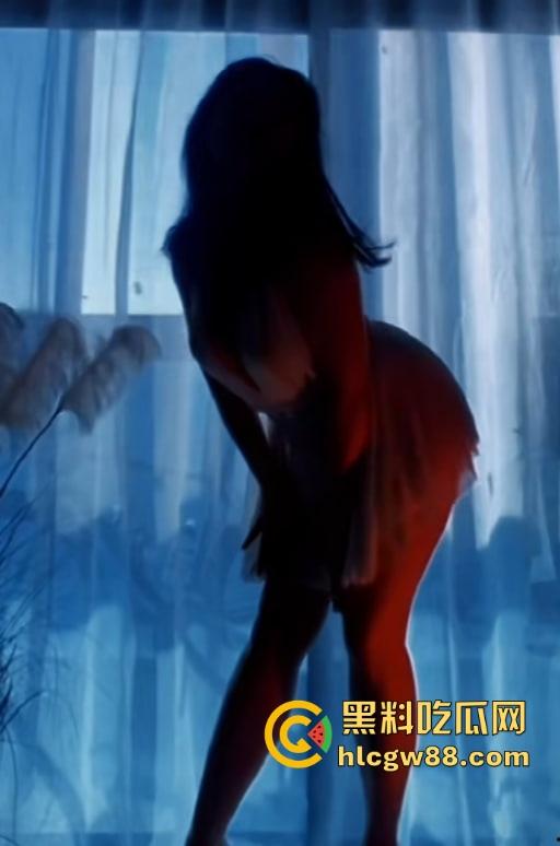 湖北抖音【猫咪老师】熟妇主播化身性感小野猫，一个私人飞机就开腾讯会议室湿欲私播，没声也够骚！-3