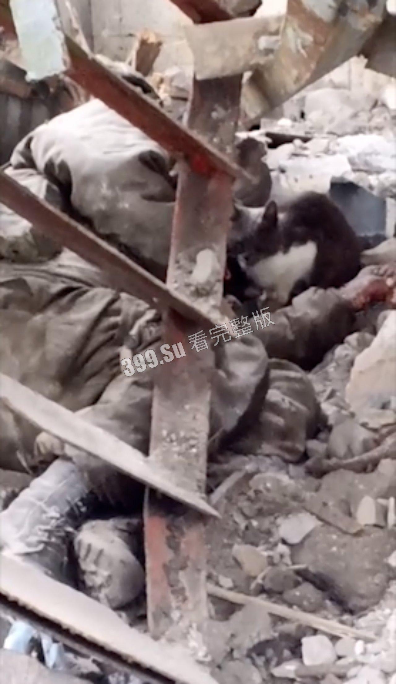 俄乌战争第一视角实录合集  现场只能用惨烈来形容  能留全尸的便算是幸运了  心理承受能力低的瓜友 勿点！！-9