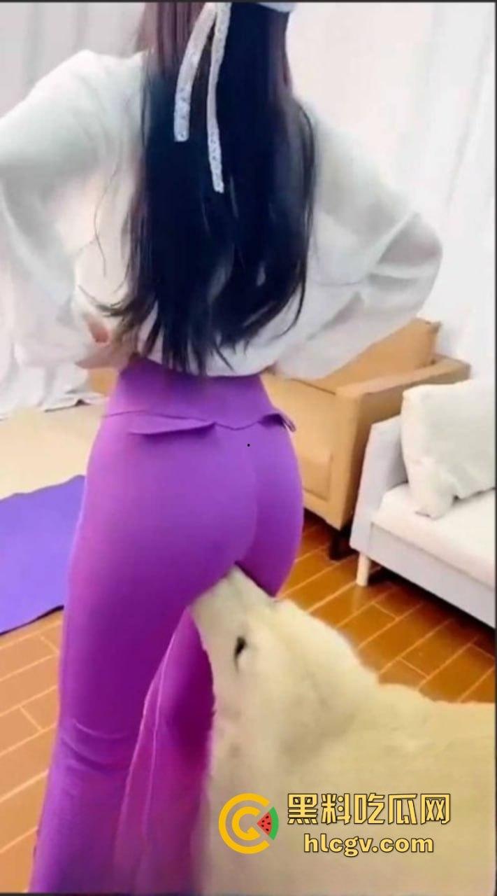 抖音小姐姐【香香公主】给科普兽交注意事项 每天都在和金毛上演人兽配！-19