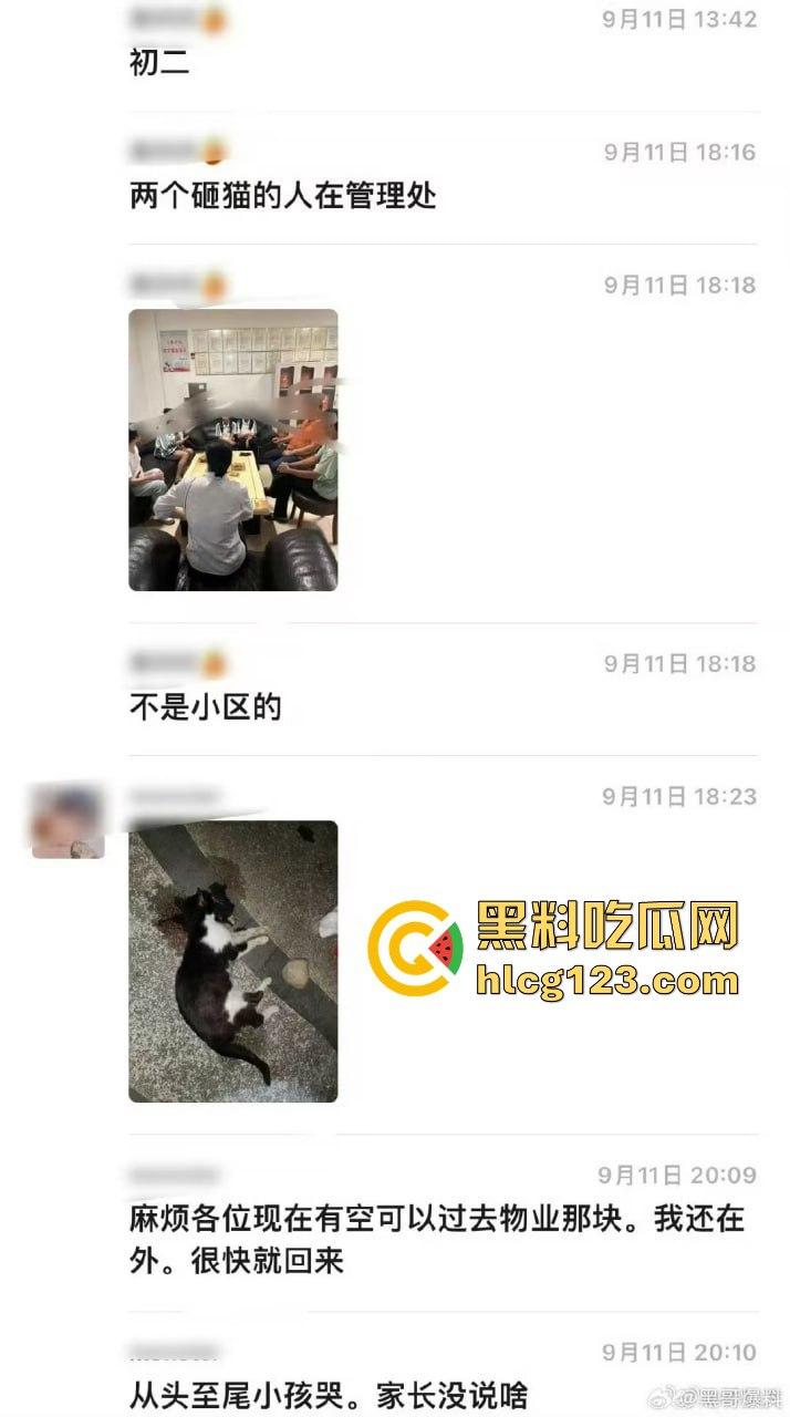 两个初中生小区虐猫？回家对着你老父亲试试，猫是猫人不是人！-1