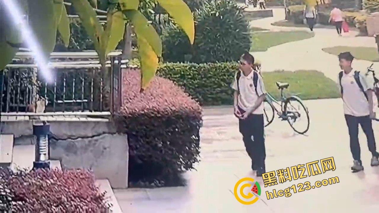 两个初中生小区虐猫？回家对着你老父亲试试，猫是猫人不是人！-4