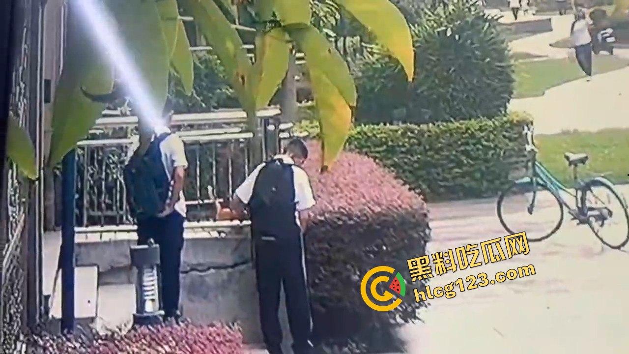 两个初中生小区虐猫？回家对着你老父亲试试，猫是猫人不是人！-5