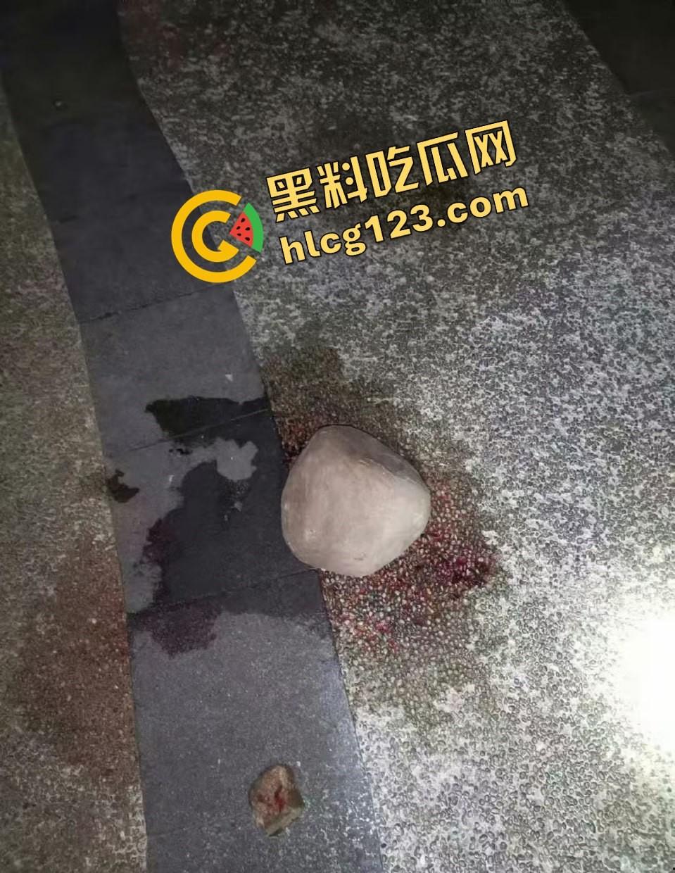 两个初中生小区虐猫？回家对着你老父亲试试，猫是猫人不是人！-11