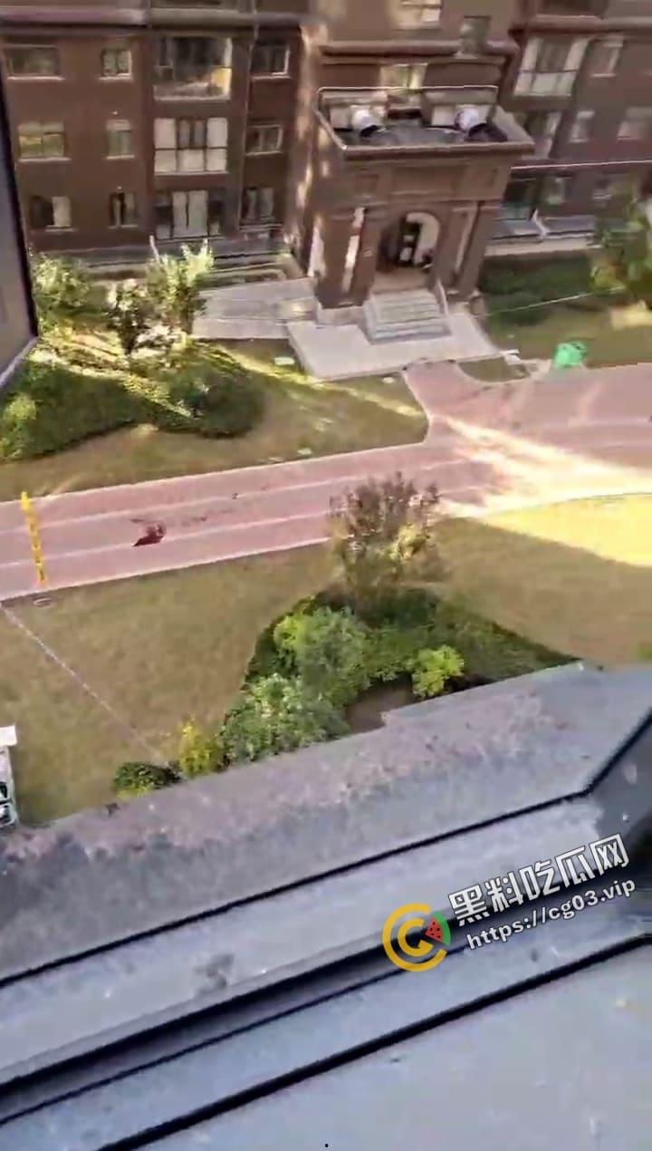 网传 幸福湾三岁小孩调皮半夜打球扰民 被楼下暴躁刀仔一波灭门-8