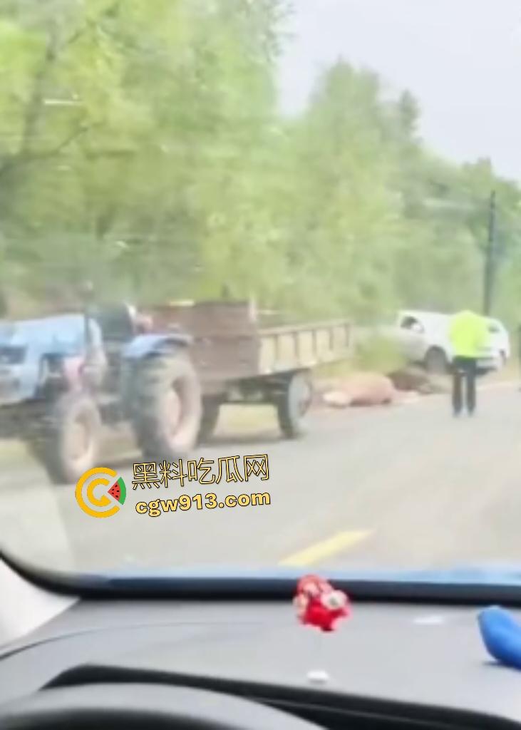 黑龙江货车狂飙撞扁16头活牛，尸体拉长成肉泥，丢草丛无人收，这下司机要赔得血本无归！-8