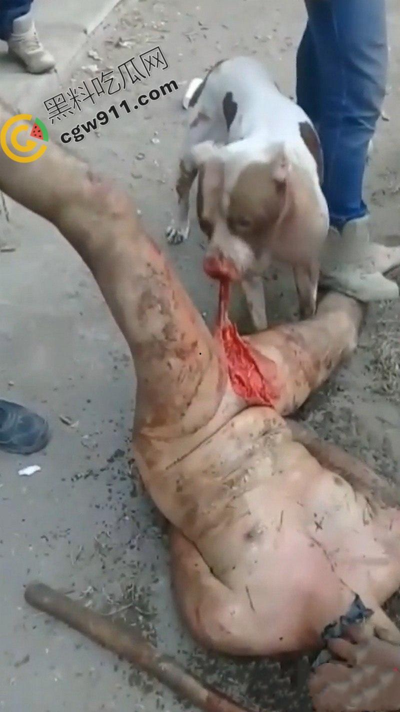 墨西哥城黑帮刑事件：裸男遭受斗牛犬撕咬生吞下体生殖器，画面血腥到令人作呕！-5