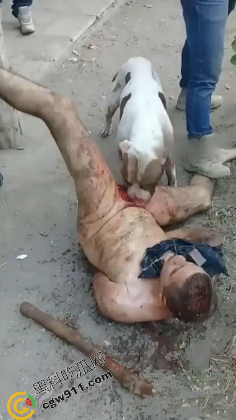 墨西哥城黑帮刑事件：裸男遭受斗牛犬撕咬生吞下体生殖器，画面血腥到令人作呕！-7