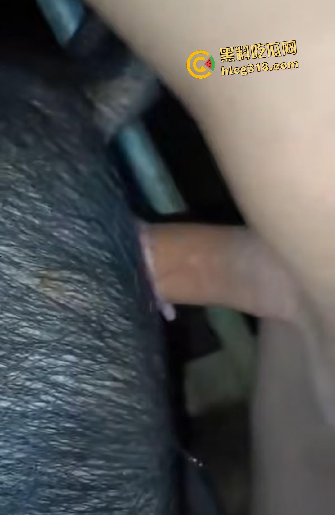 人兽杂交玩法逆天！狗子第一次遇见巨根 被抓尾巴抬腿操，另外操猪逼的，还挺有AV范！-4