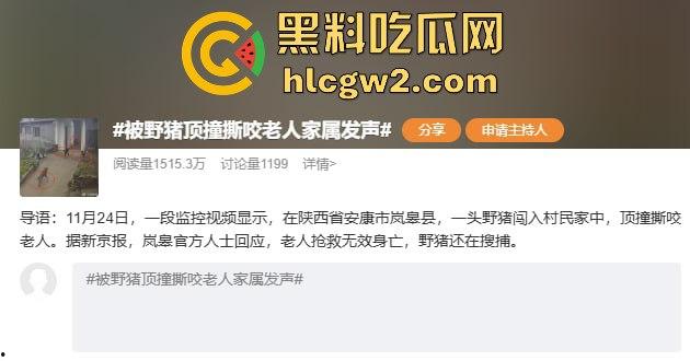 陕西安康野猪闯入民宅撕咬老人致死，老人被反复顶撞撕咬惨不忍睹，野猪仍在追捕中！-1