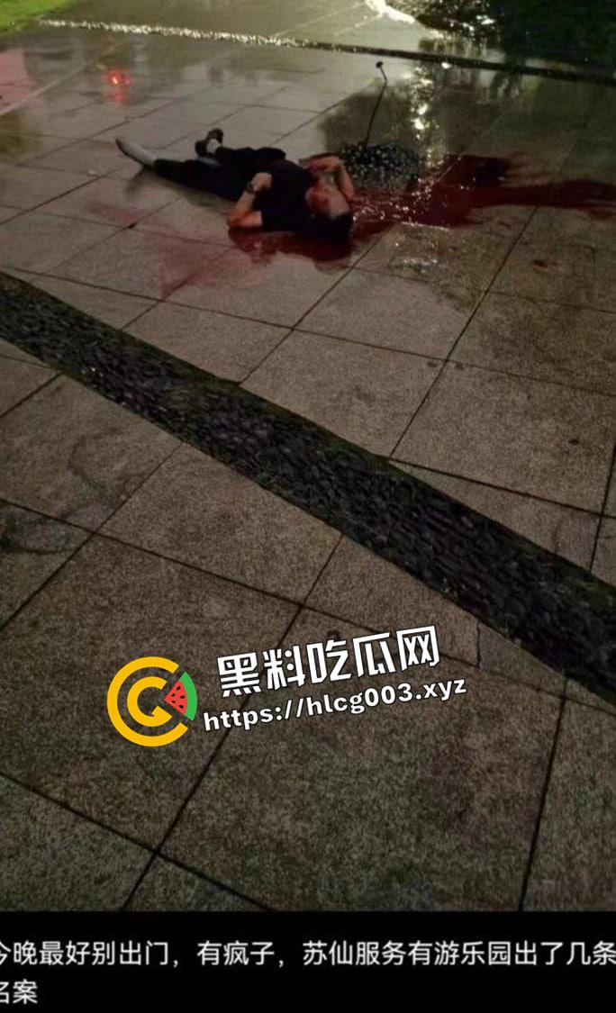 别人520打炮你杀人！郴州刀仔因情所困报复社会 苏仙公园砍杀数人 现场画面流出-2