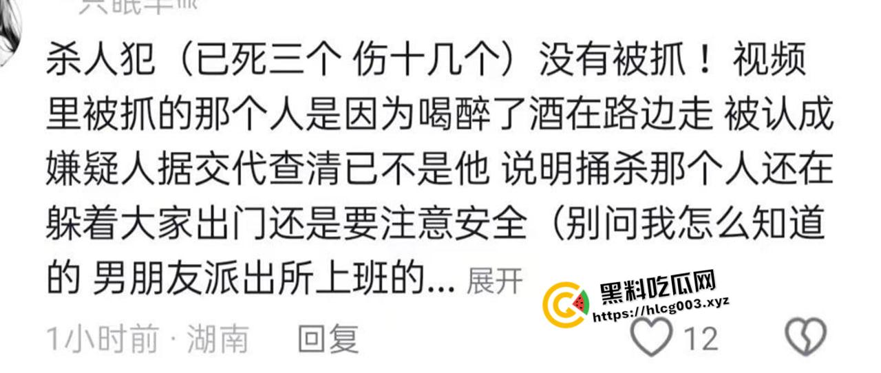 别人520打炮你杀人！郴州刀仔因情所困报复社会 苏仙公园砍杀数人 现场画面流出-4