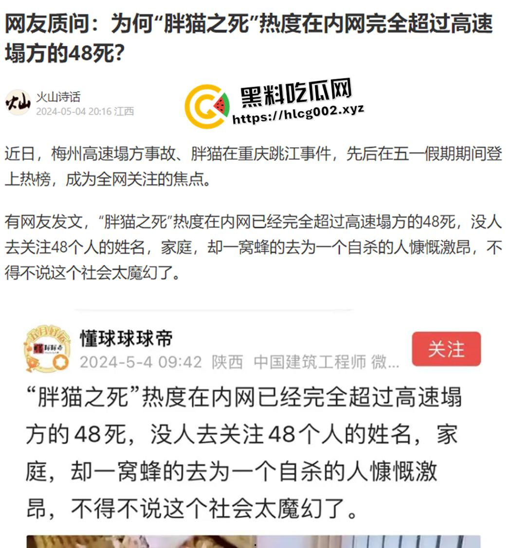 肥猫之死热度远超梅州高速惨案！工程质量问题堪忧 电车起火才是主要原因 全网没人说真话？-1